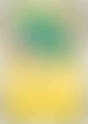 Pokémon TCG: Heat Wave Arena