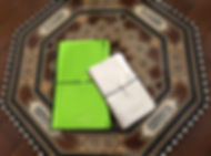fullsizeoutput_6c9.jpeg