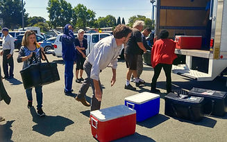 Volunteer Packing 2.jpg