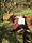 Eleri leaning on one of the cows