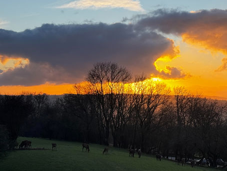 How the Weather Shapes Our Mood: When Lighter Days Feel Lighter Inside