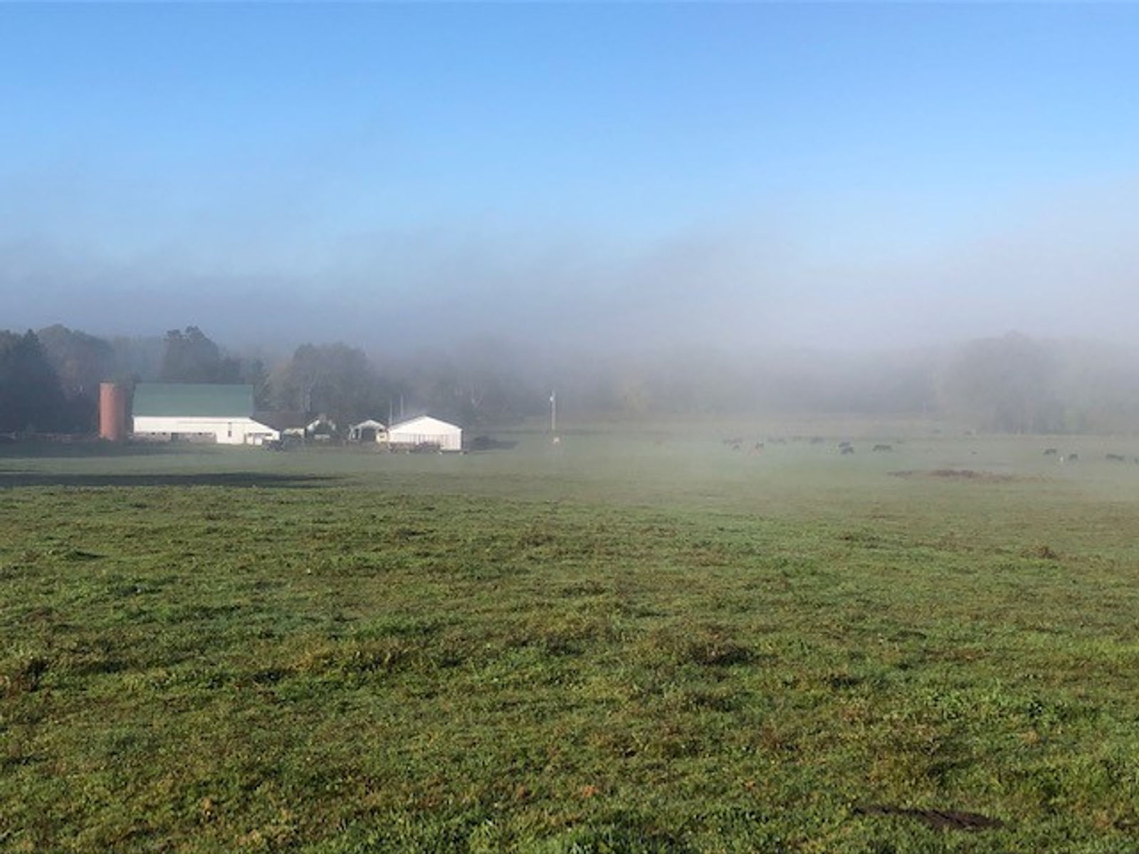 Horodyski's White Barn Farm photo 3