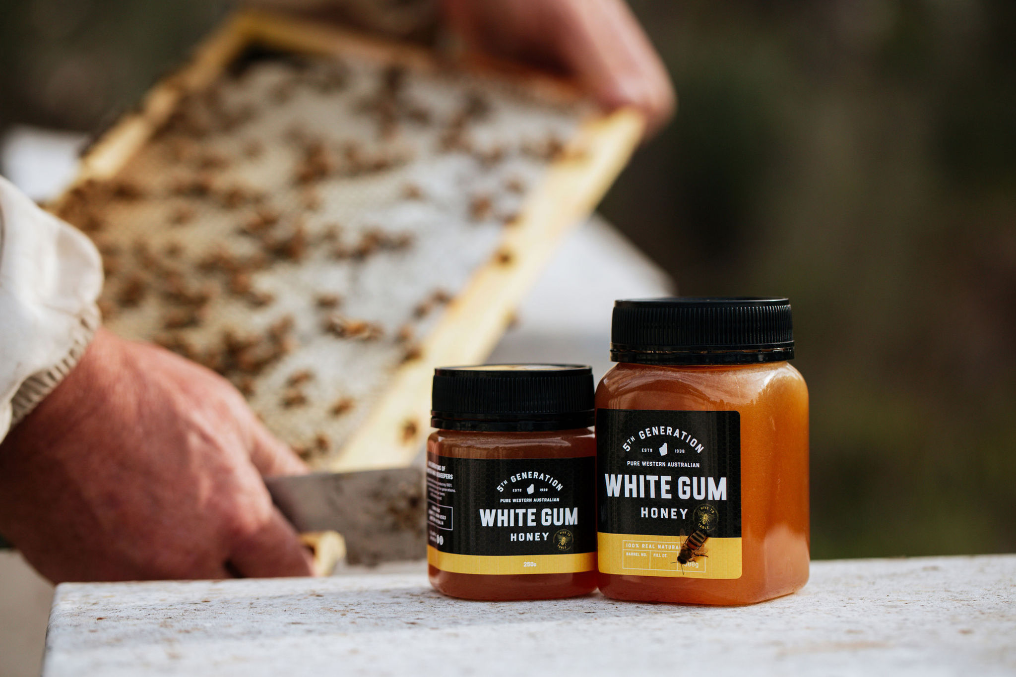 White Gum Honey
