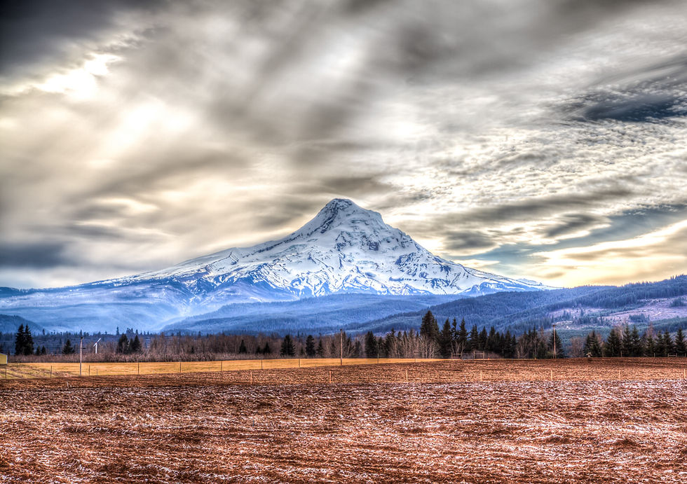 MtHood Field-2_edited.jpg