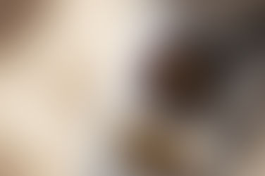 Opciones inmigratorias para entrantes con parole humanitario