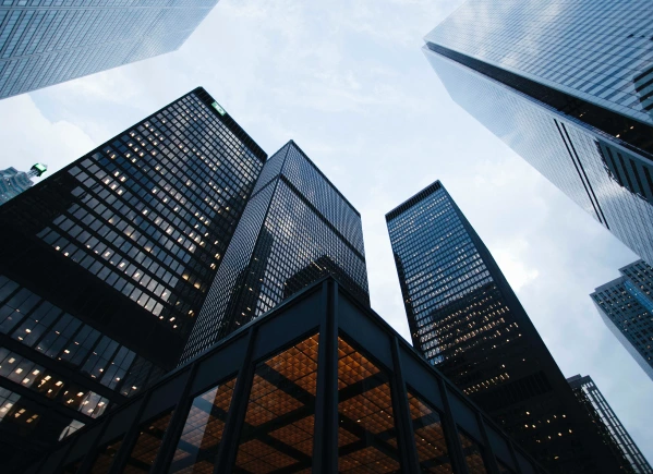 Investment Immigration