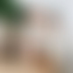 El murmullo de las abejas - Sofía Segovia