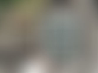 The Stillwater Girls - Minka Kent