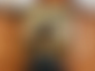 El Último Van Gogh - Alyson Richman