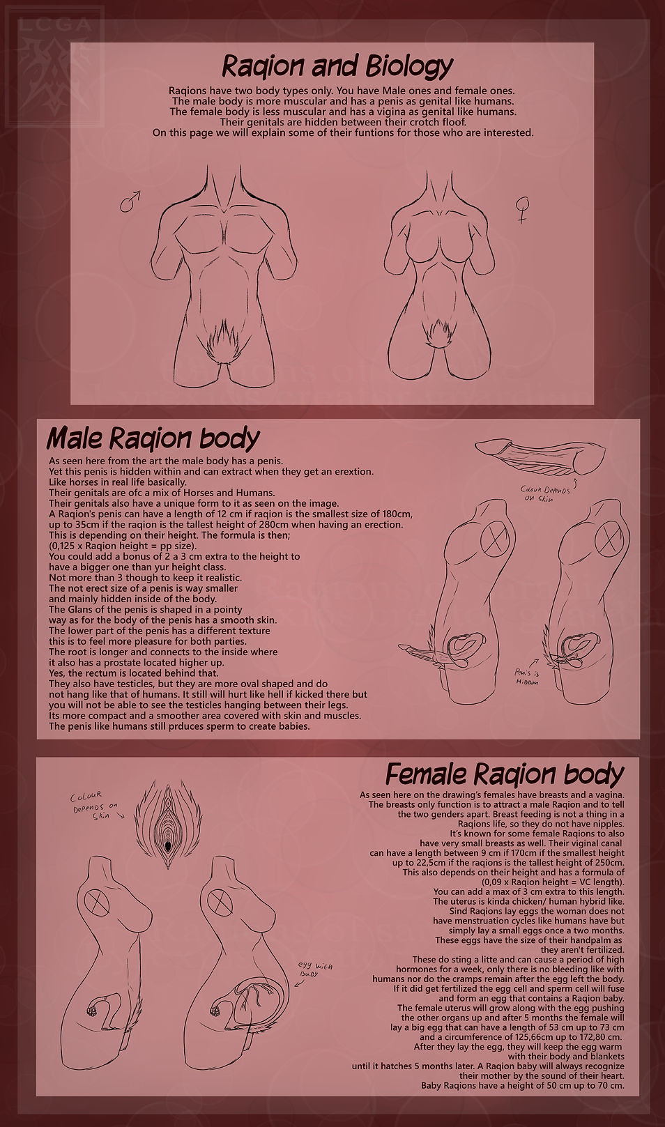 2025 body update.jpg