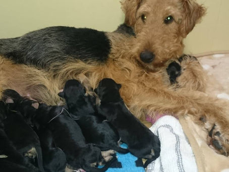 シャネル母さん、誕生日おめでとう❣