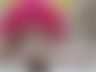 セラピードッグのあずきです