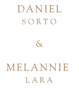 Copia de PROPUESTAS LUIS Y VANE (1).png