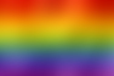 Focus Groups with LGBTQ Community