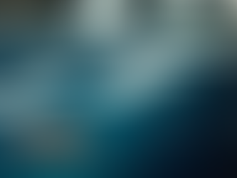 Showroom Shine: Mobile Detailing for Every Vehicle