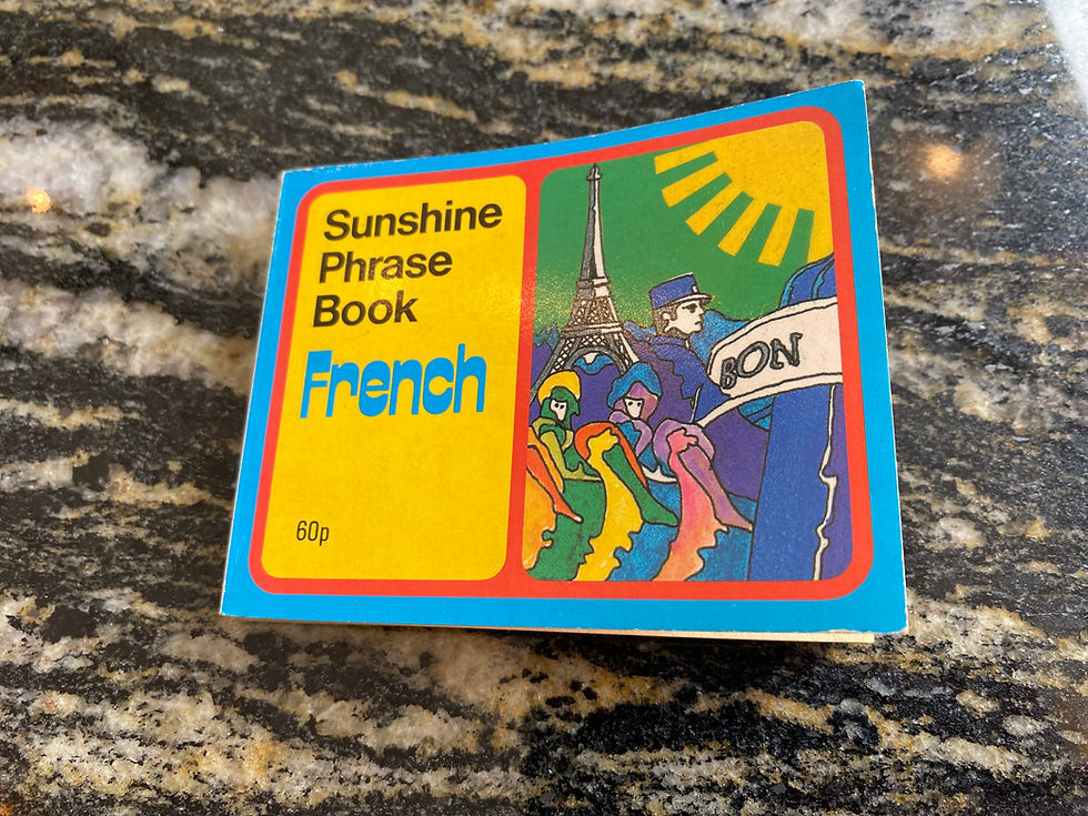 Cover of Sunshine Phrase Book in French