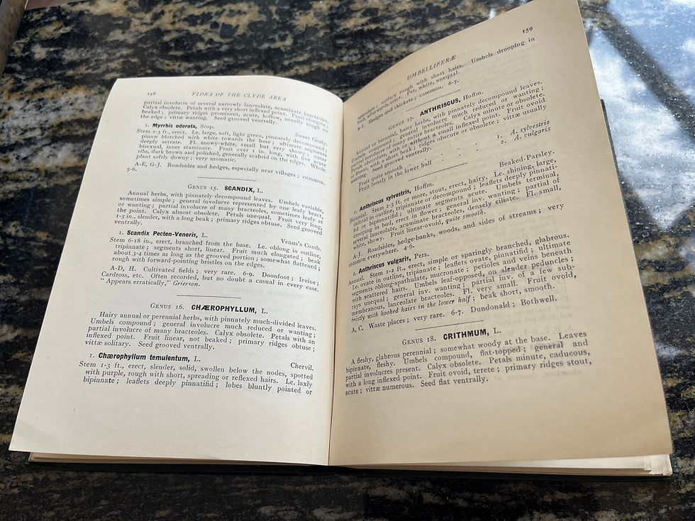 Inside pages of the book