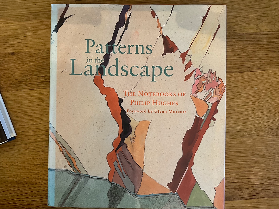 Cover of book Paterns in the landscape