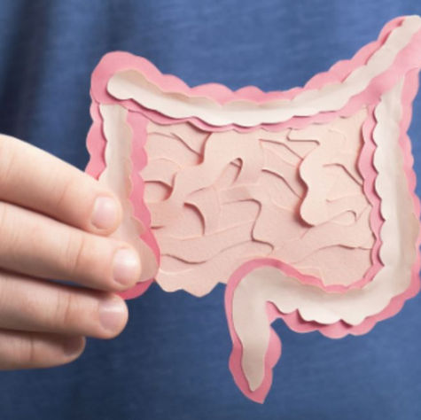 Your Gut, the Center of Wellness: Digestive Health in Traditional Chinese Medicine