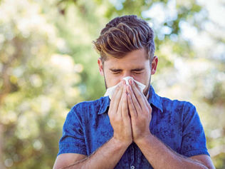 Understanding Allergies Through the Lens of Traditional Chinese Medicine