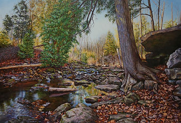 halton falls conservation in milton ontario canada