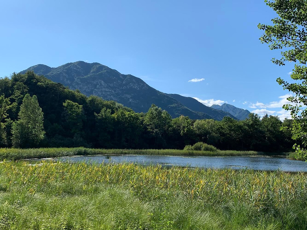 Lago Minisini