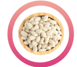 White Kidney Bean.png