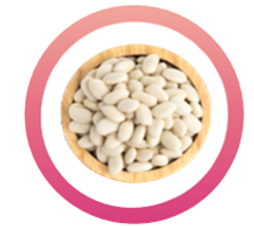 White Kidney Bean.png