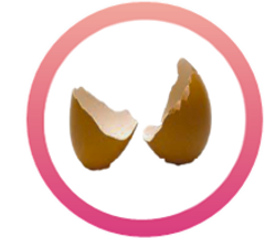 Egg Collagen.png
