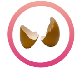 Egg Collagen.png