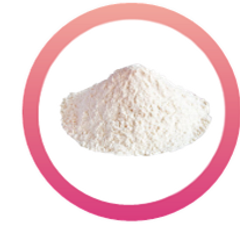 YEAST.png