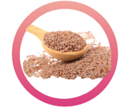 PSYLLIUM.png