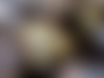 和みのときすごろく王者決定戦