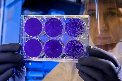 Cells