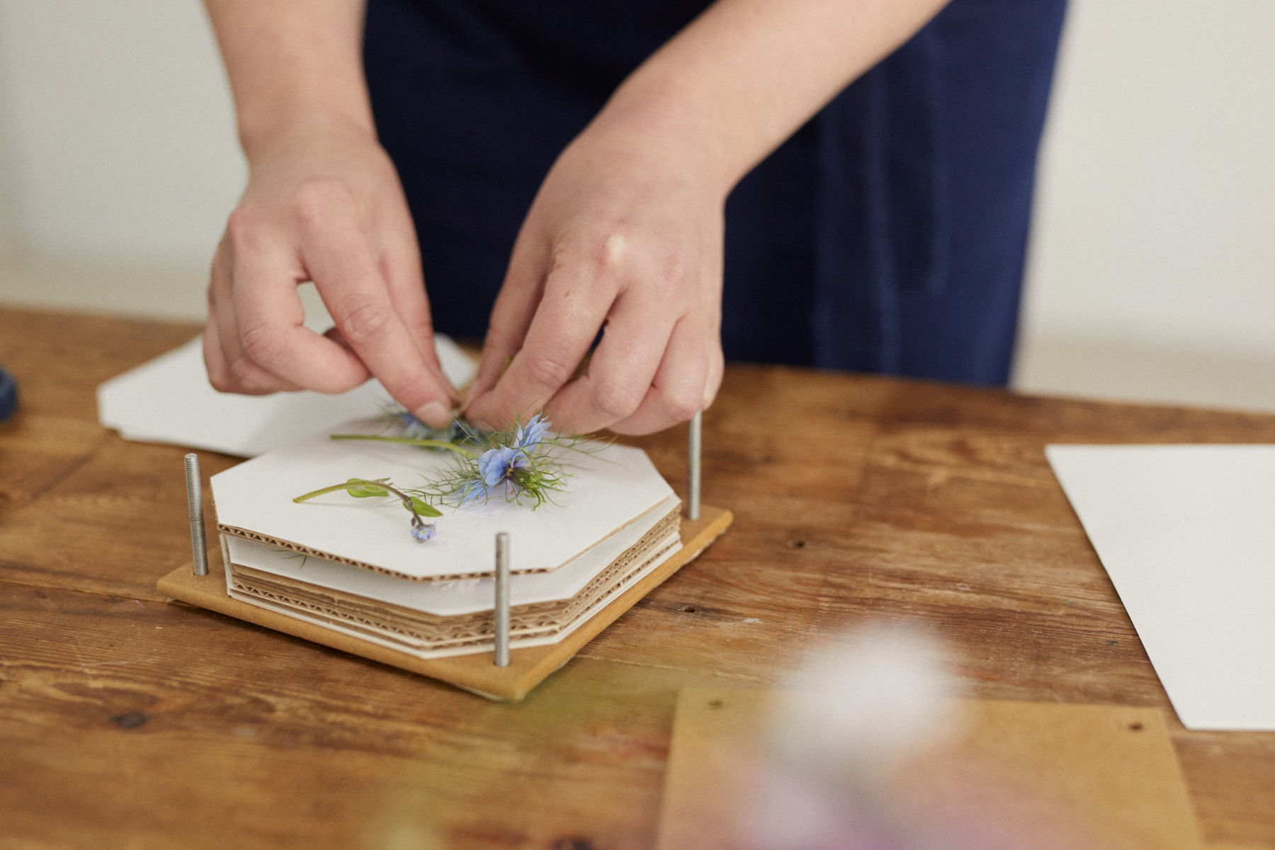 DIY Pressed Flower Artwork