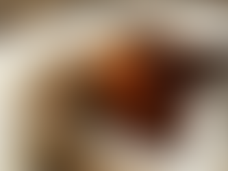 Brown mug of hot chocolate sat on a book with a cosy blanket round it on a wooden floor