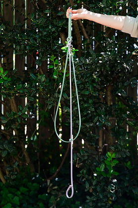 AHNC_Slip Leashes_007.jpg