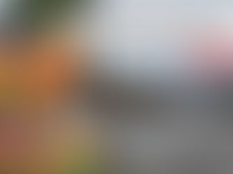 El Festival de Luz, Paz y Alegría llega a Prado, Tolima