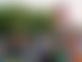 El fandango y el porro de la fiesta de corraleja, lo mejor de Sincelejo