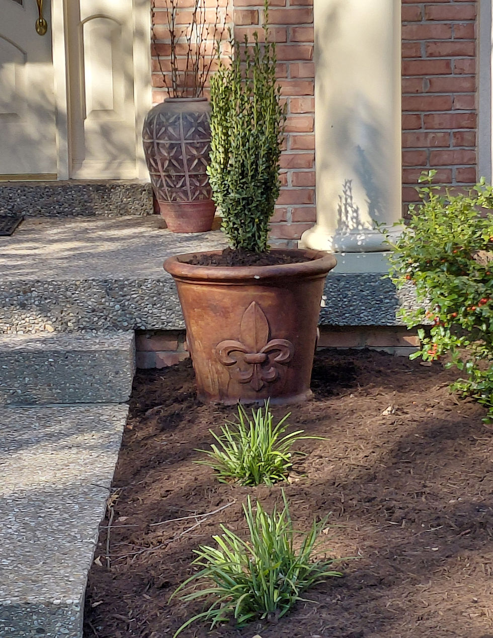 Landscape Design Development