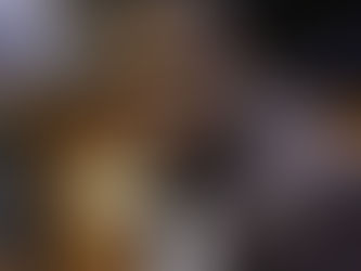 SUSPENDED COP FANNIE NKOSI TO STAY BEHIND BARS OVER EXPLOSIVES, FIREARMS, CASH STASH