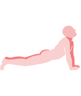 8-Bhujangasan (2).png
