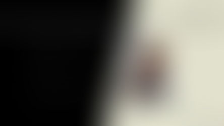 Bidding Foundations (the basics for new players)