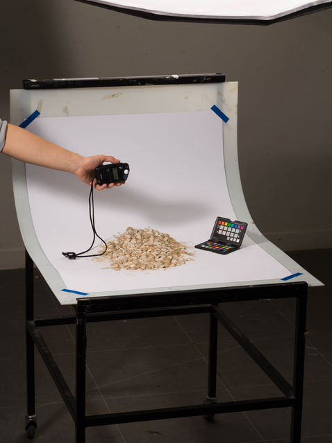 Doggerbank Writes Back