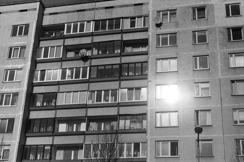 Paper Pictures_Gundega Strauberga_9.jpg