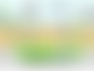 Geological Storage of CO2 with membrane-based Direct Air Capture to form Carbon Sinks