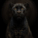 WhatsApp Image 2025-12-09 at 19.00.52.jpeg