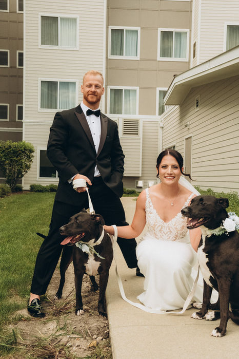 Wedding couple with dogs posing. Green grass and light-colored building in background.