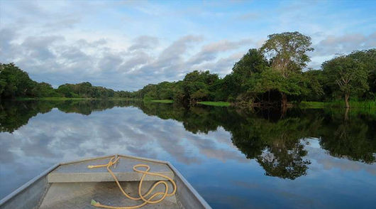 5 datos que debes conocer sobre el Sínodo de la Amazonía
