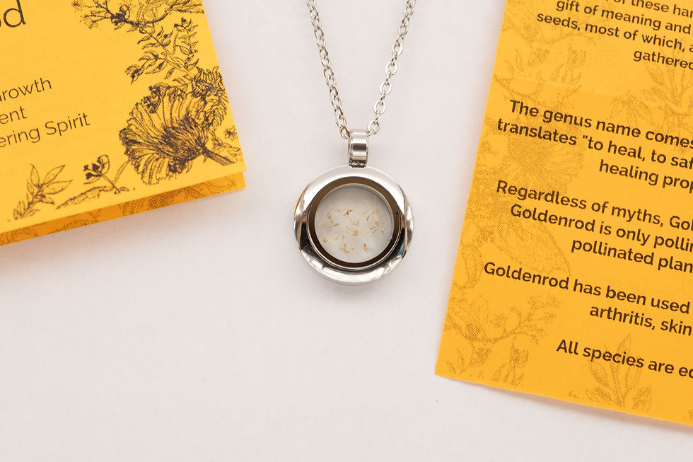 Stainless steel goldenrod seed floriography necklace